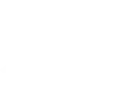 force and arms